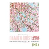 Damien Hirst poster