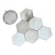 Silver coaster set