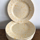 Set of 6 dessert plates