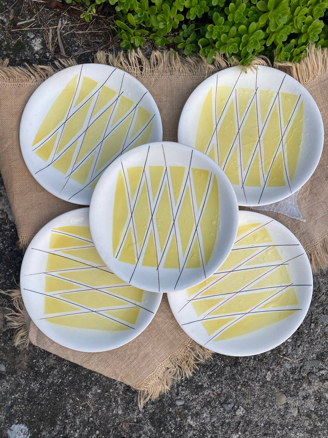 Assiettes salins tambour