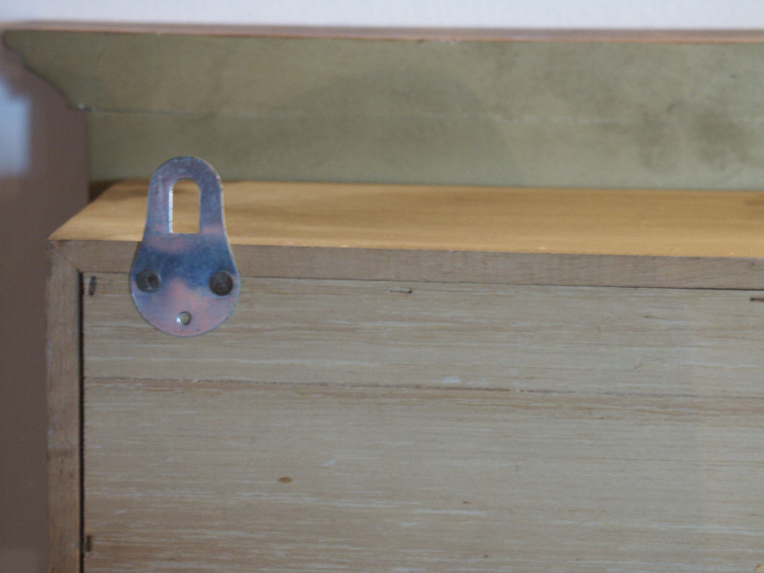 Wall showcase for collections