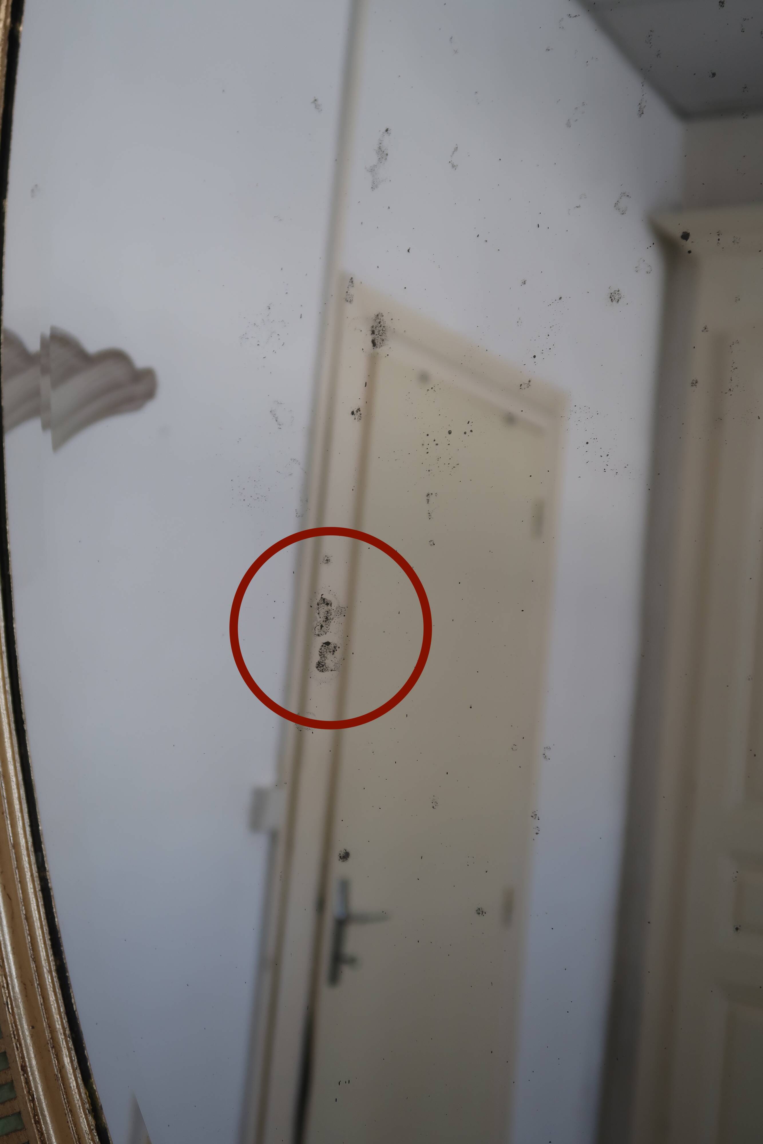 Empire style oval mirror