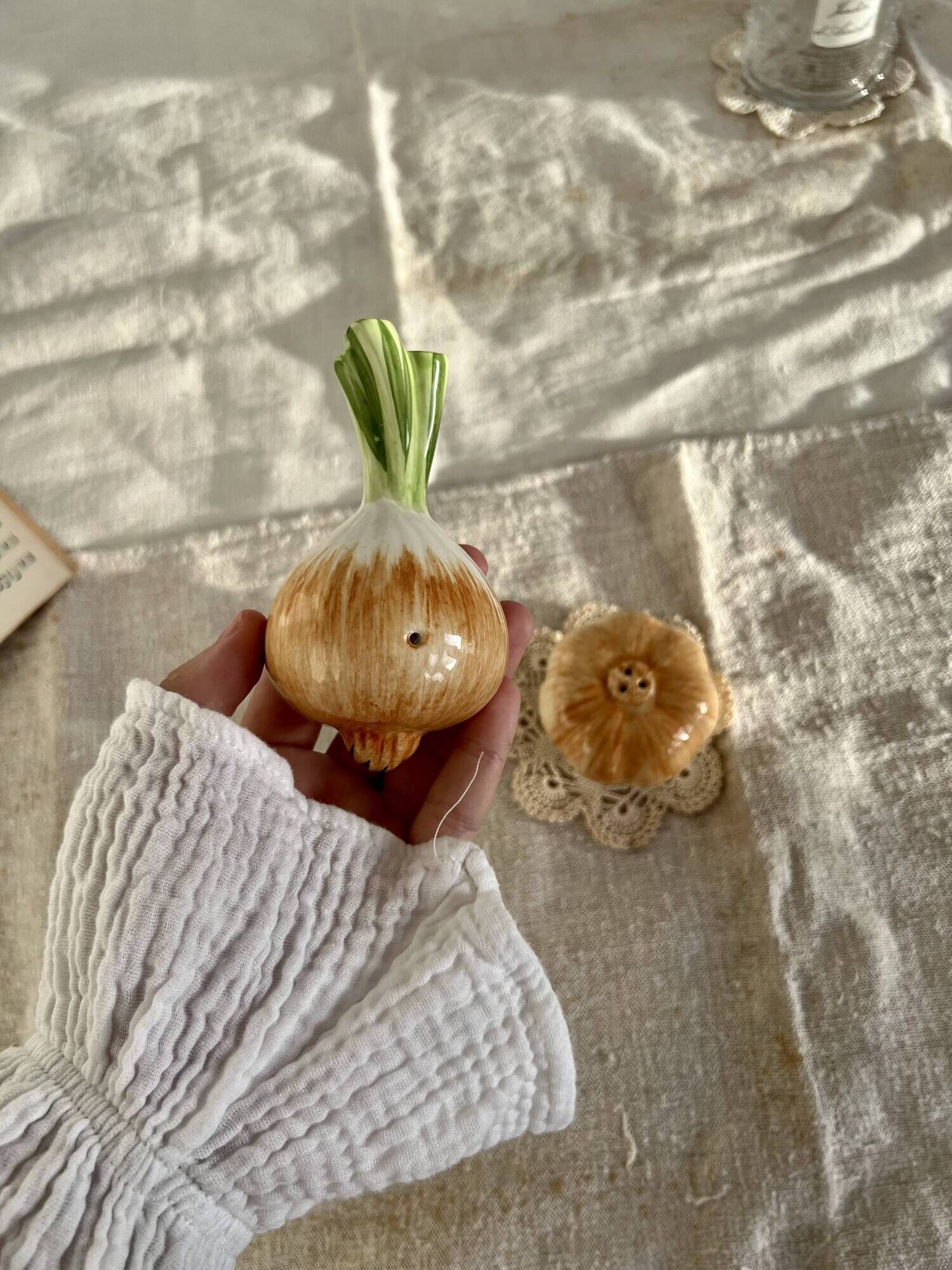 Vintage salt and pepper shaker in colorful vegetable, garlic and onion slip