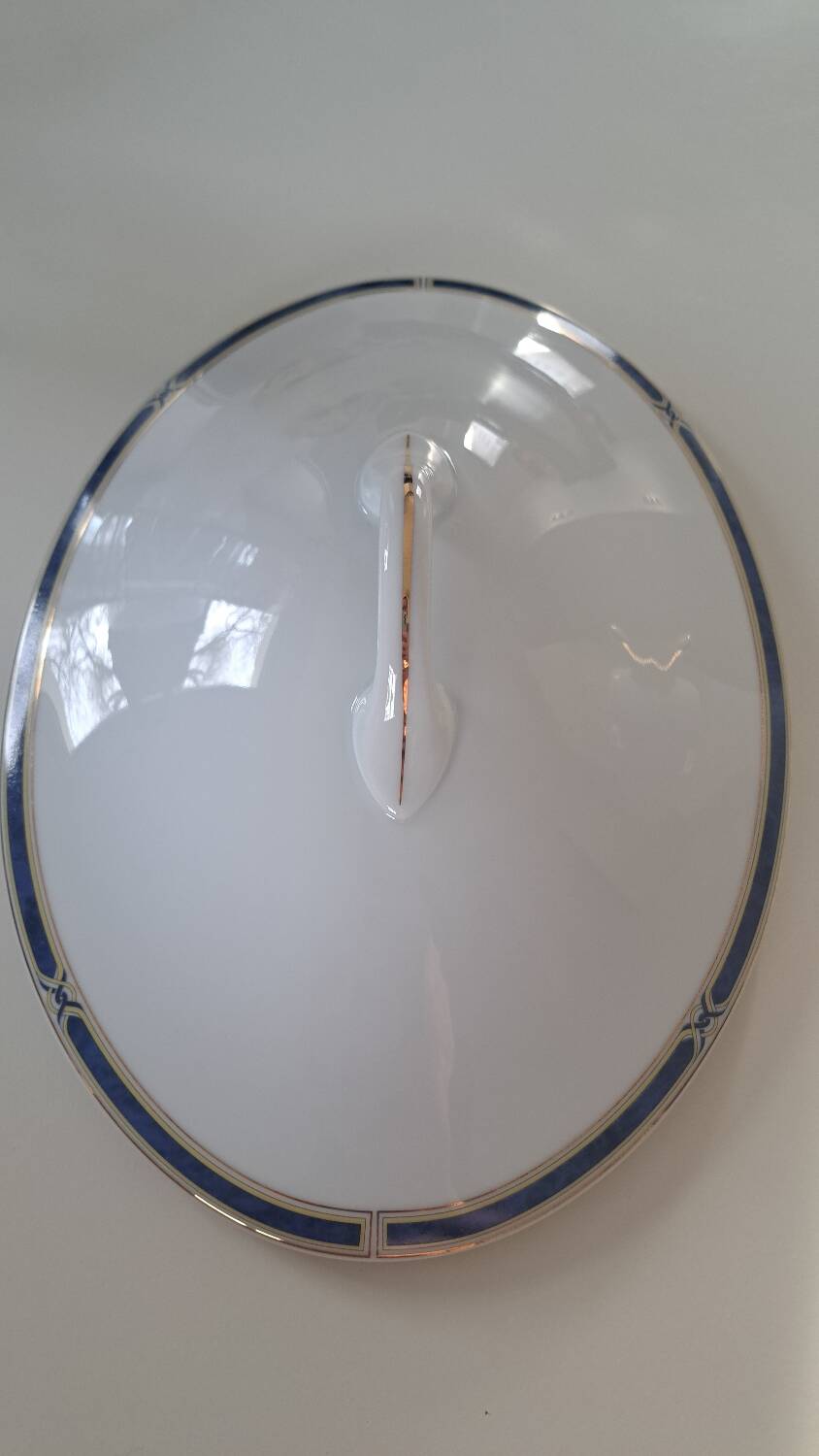 Soup tureen + Haviland plate