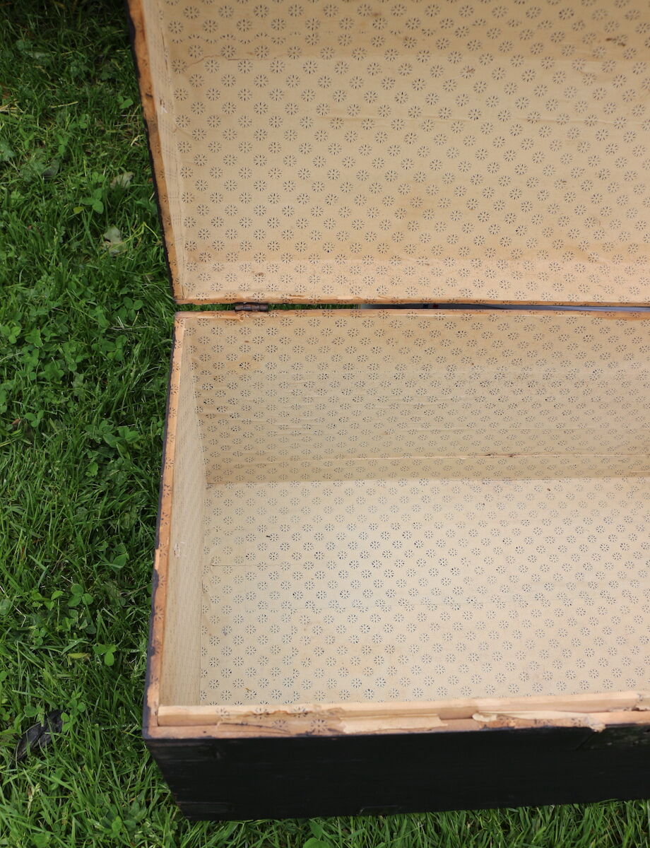 Small curved black trunk