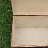 Small curved black trunk