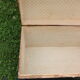 Small curved black trunk