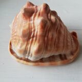 Helmet shell or bull's mouth