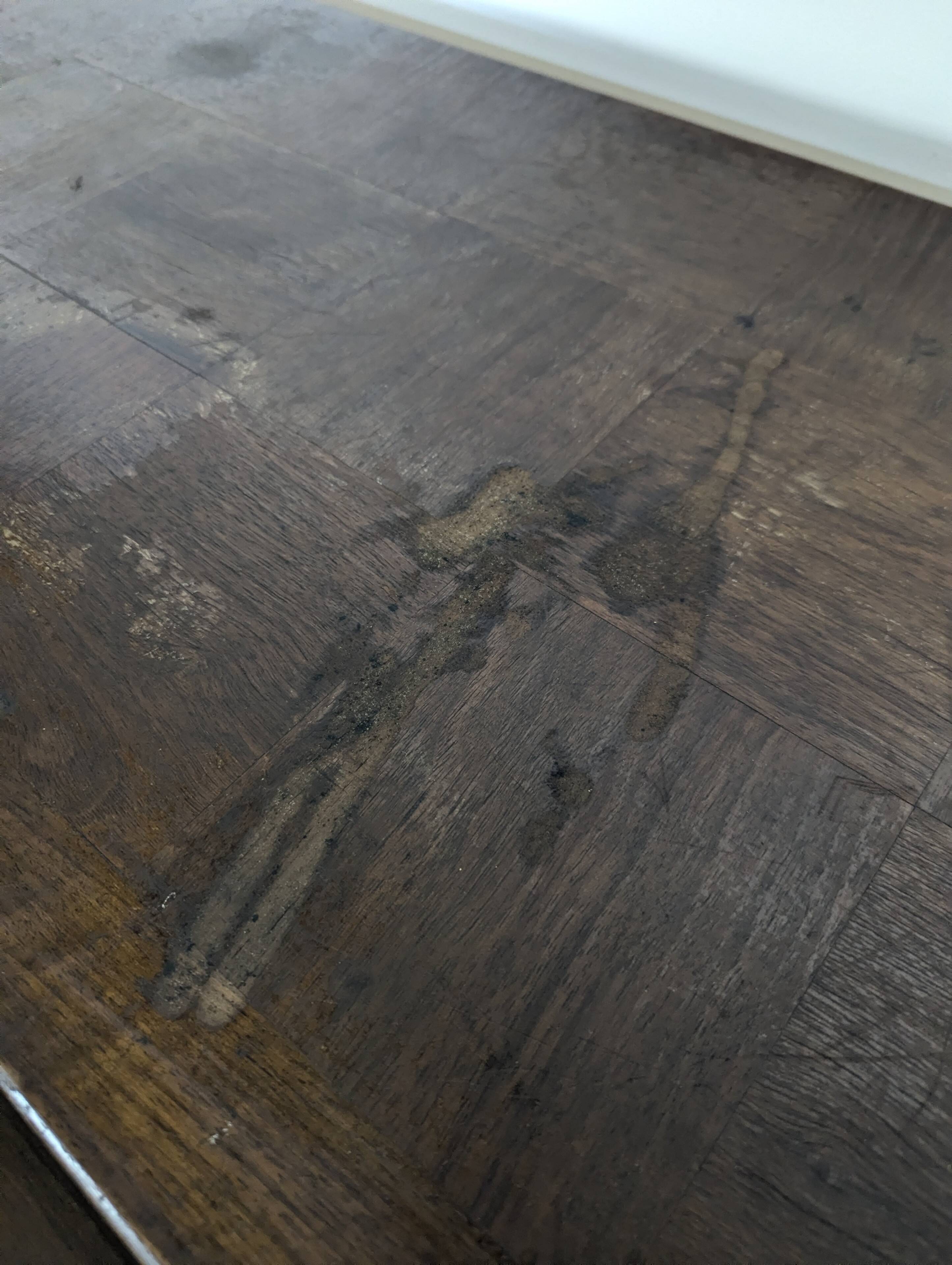 Enfilade by Etienne Kohlmann in walnut