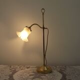 French antique brass goose neck table lamp with white opaque glass shade 5468.