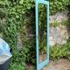 Beveled mirror on turquoise Parisian door