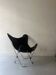 designer butterfly armchair in chrome and black leather