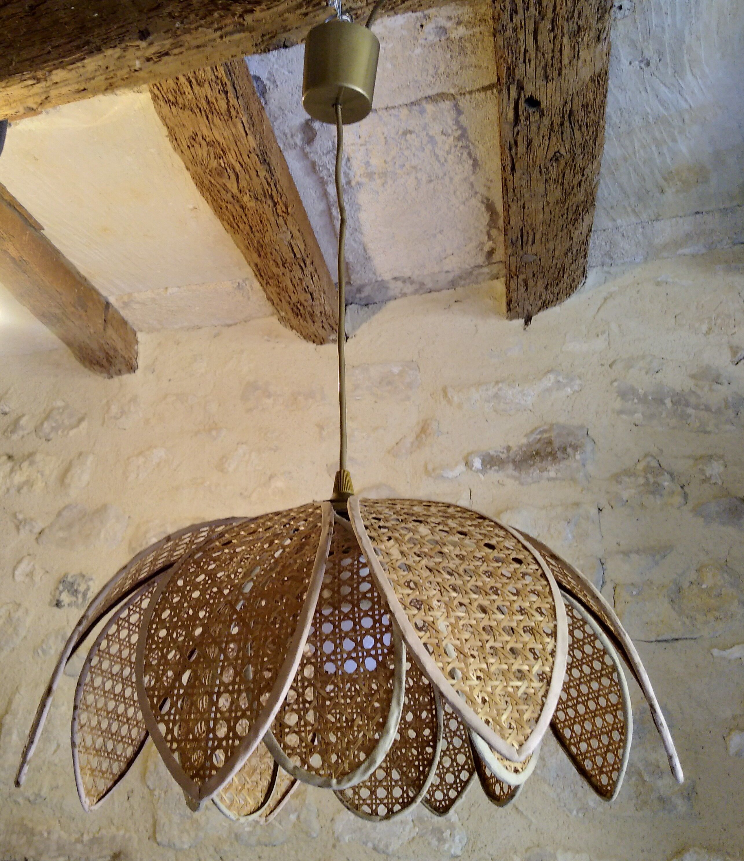 Lotus suspension in vintage cannage