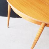 Scandinavian expandable table