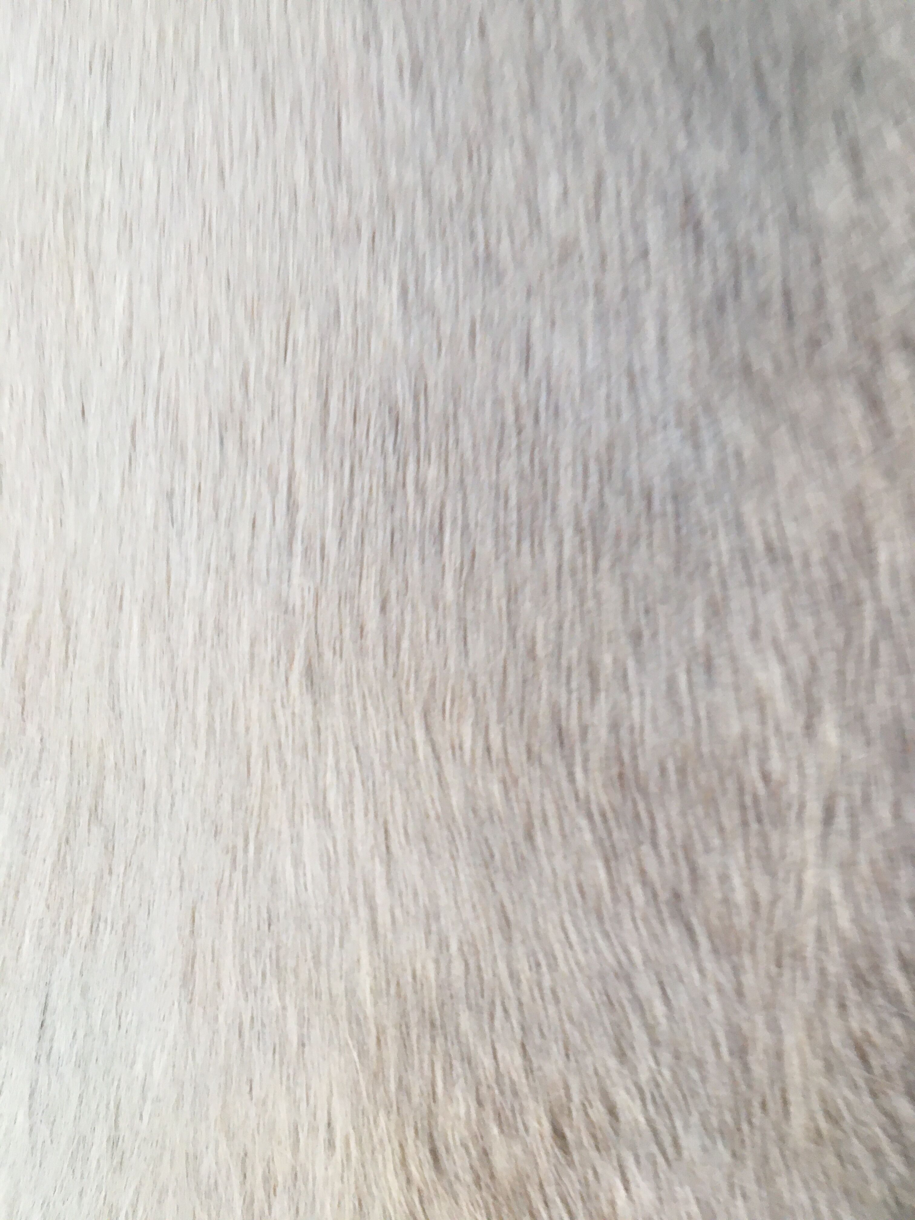 Lot of 2 carpets cow skins 120x60cm