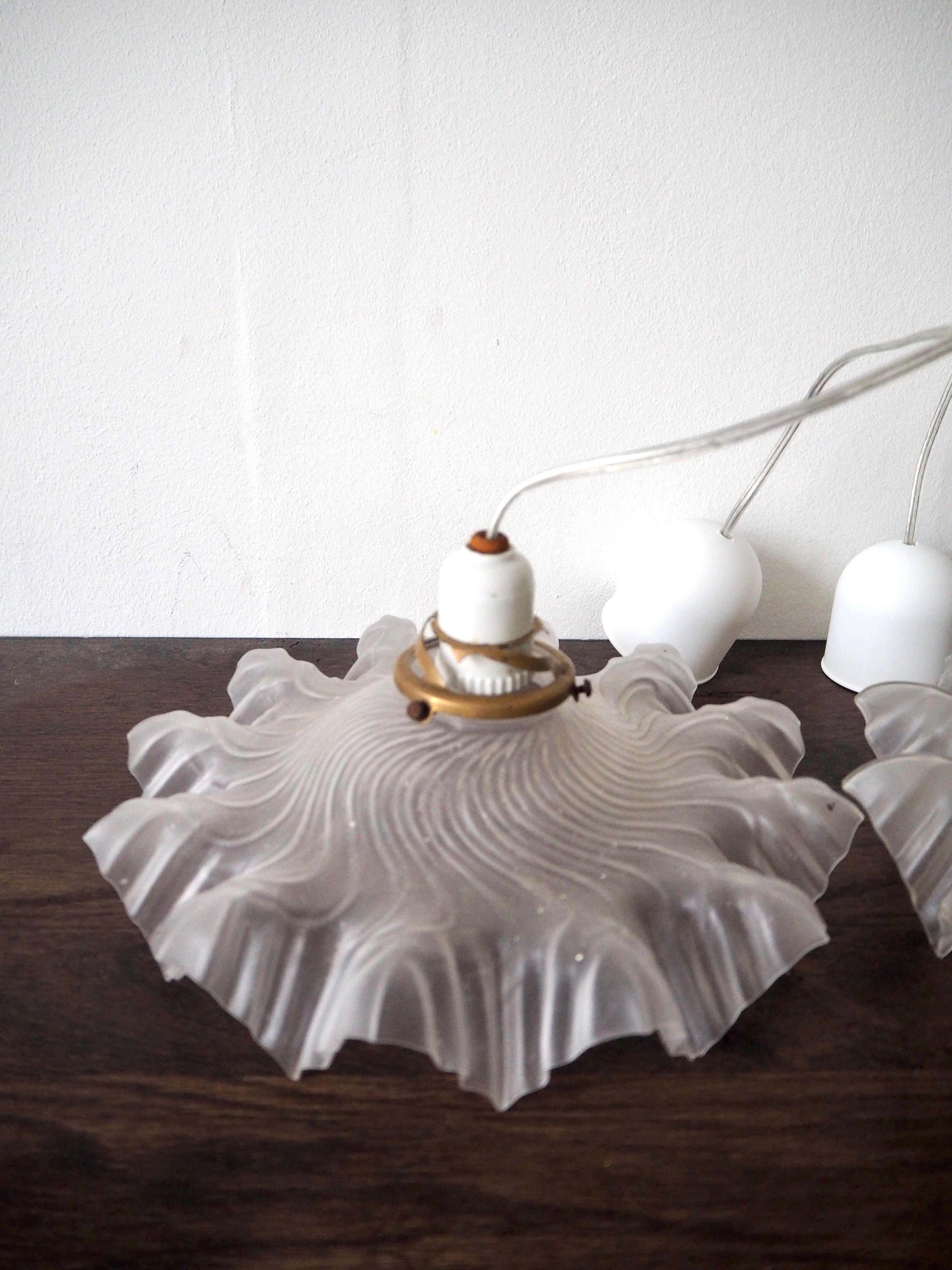 Pair of frosted glass flower pendant lamps