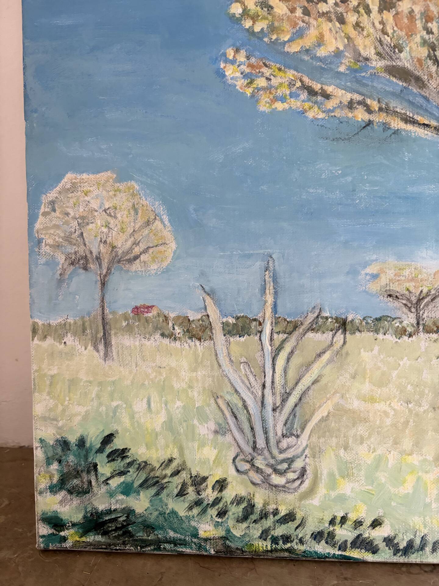 Modern Provence landscape