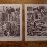 Original lithographs on forest and forest trees