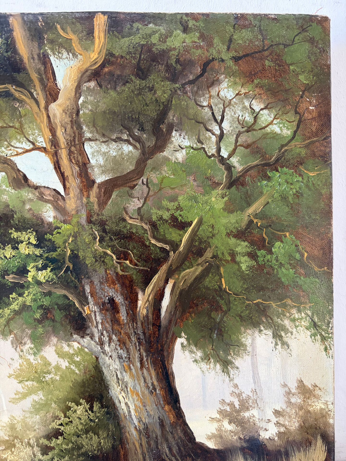 Le grand chêne, huile sur toile signé