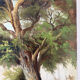 Le grand chêne, huile sur toile signé