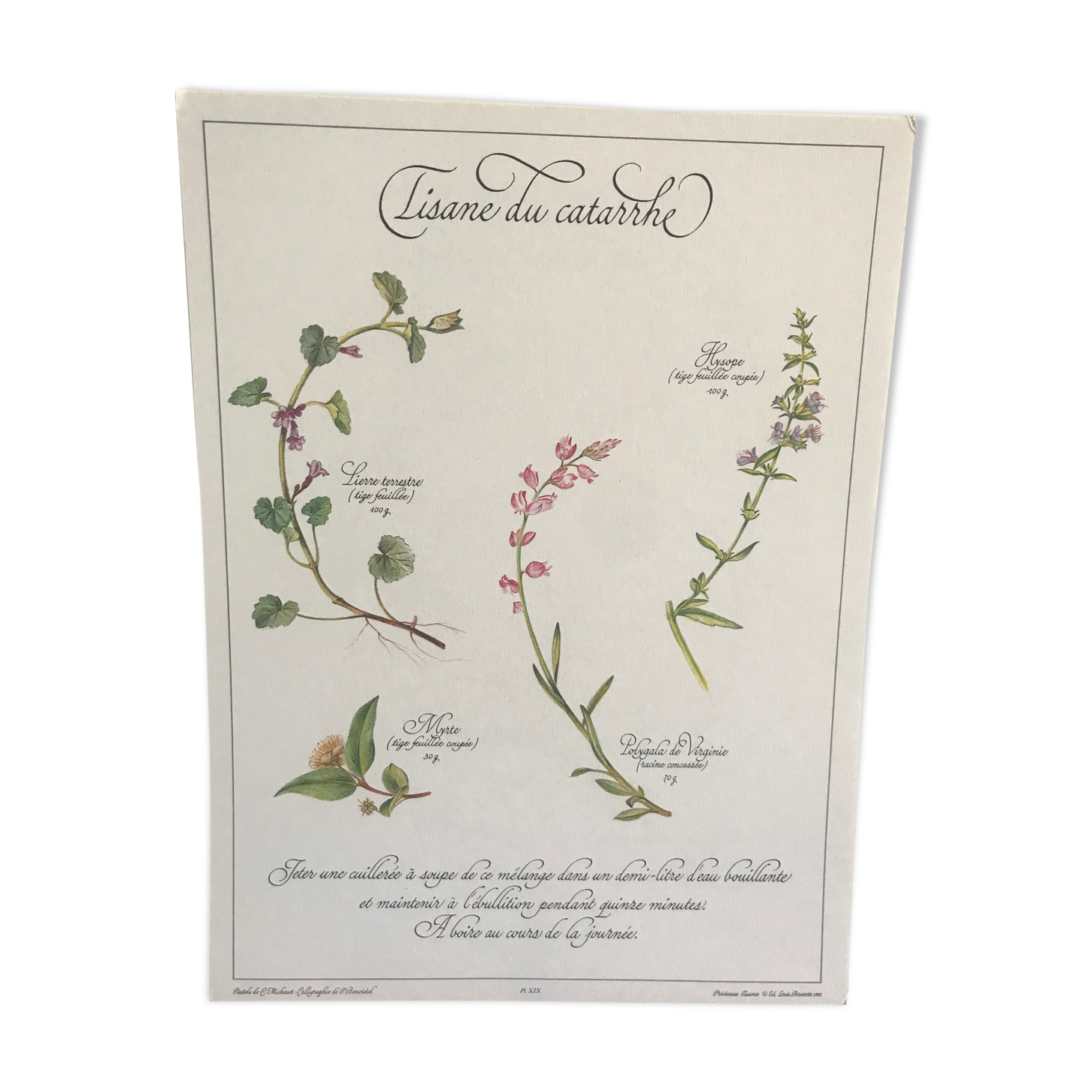 Vintage botanical board