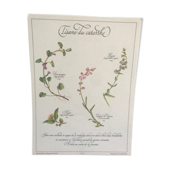 Vintage botanical board
