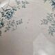 Set of 2 antique flat plates Terre de Fer – Hippolyte Boulenger & Cie – Roscoff model