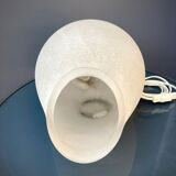 Glass shell lamp