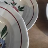 Hollow plates sarreguemines chatenois flowers