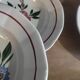 Hollow plates sarreguemines chatenois flowers