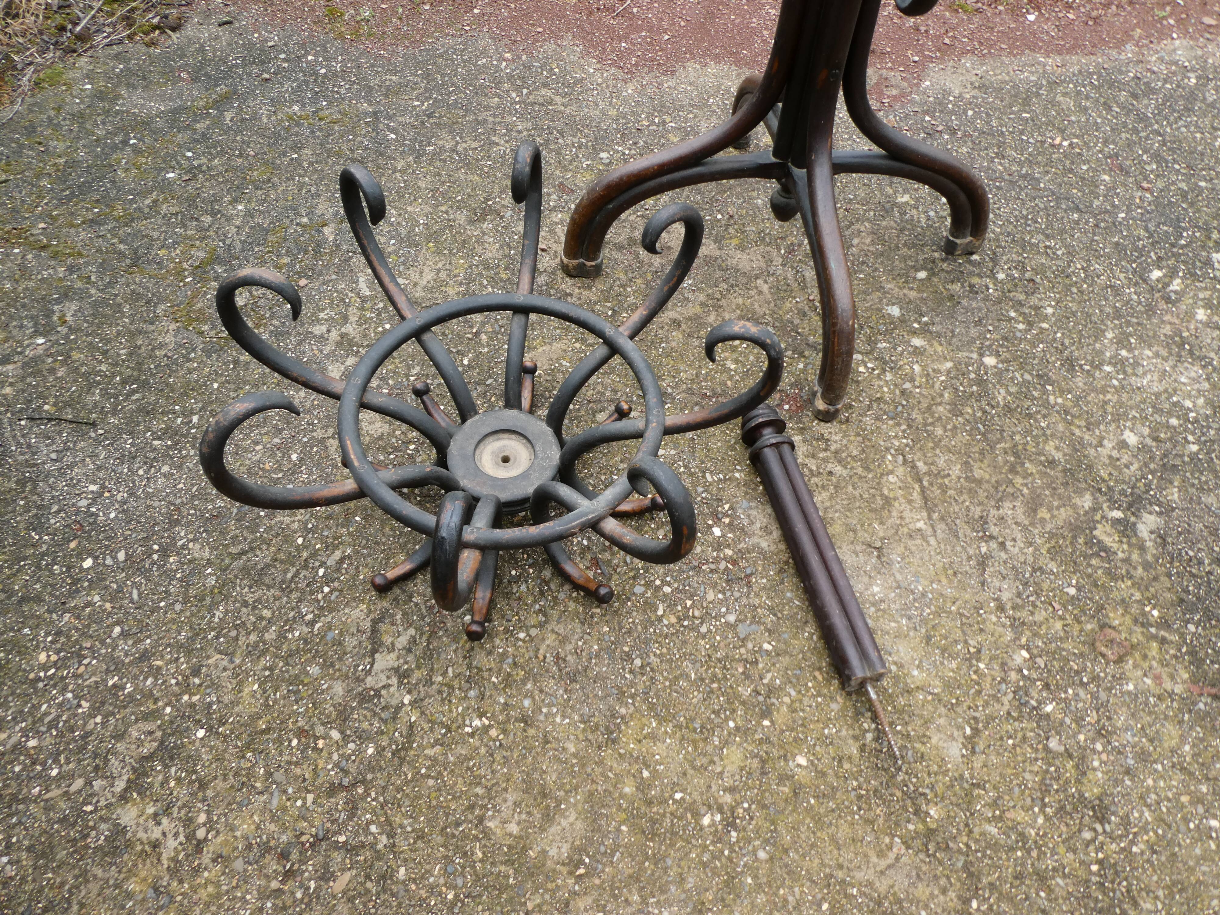 Parrot coat holder in curved wood - Art Nouveau