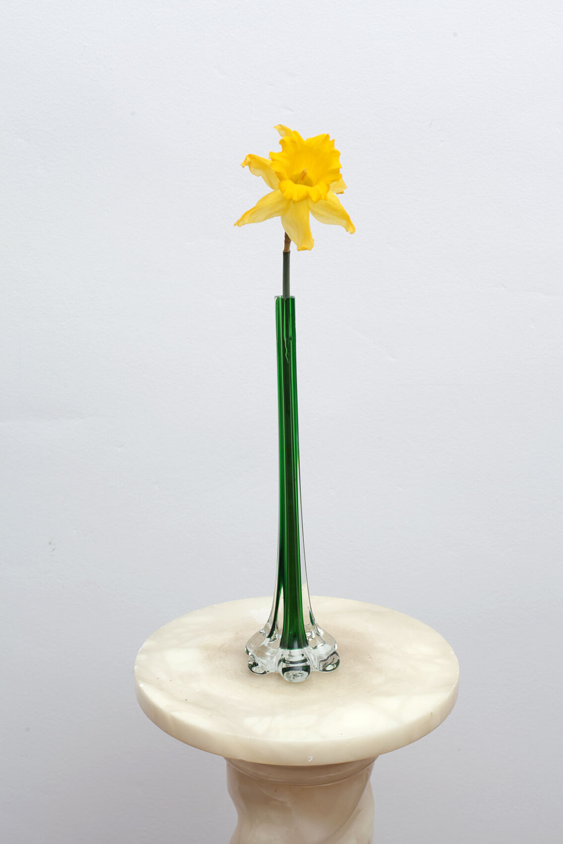 Green elephant foot soliflor vase