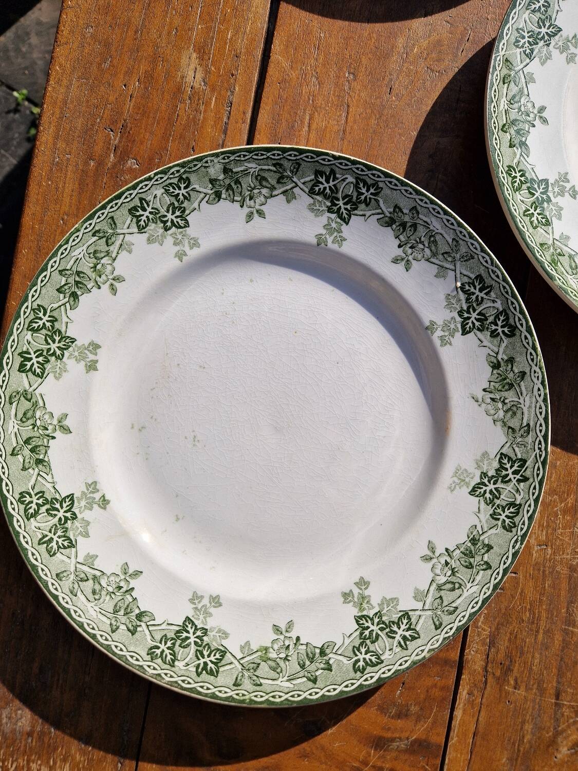 Set of 7 Flat Plates, Summer Model, Terre De Fer, Saint Amand
