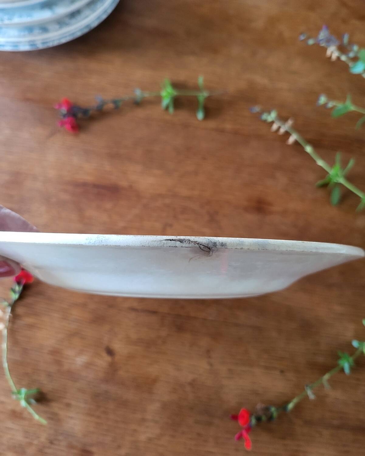 Old Earthenware Plate Creil and Montereau Dublin Service