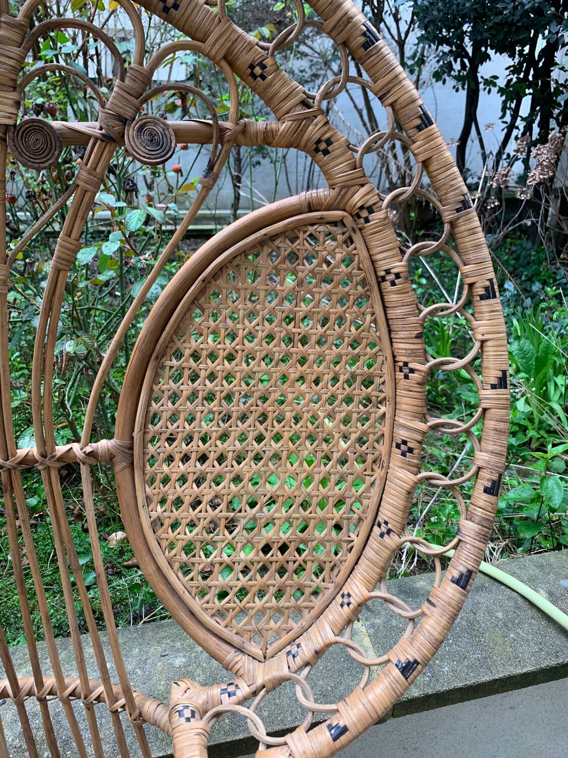 Peacock rattan armchair