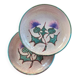 Pair of plates with thistle decoration