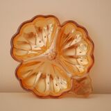 Empty pocket iridescent orange flower