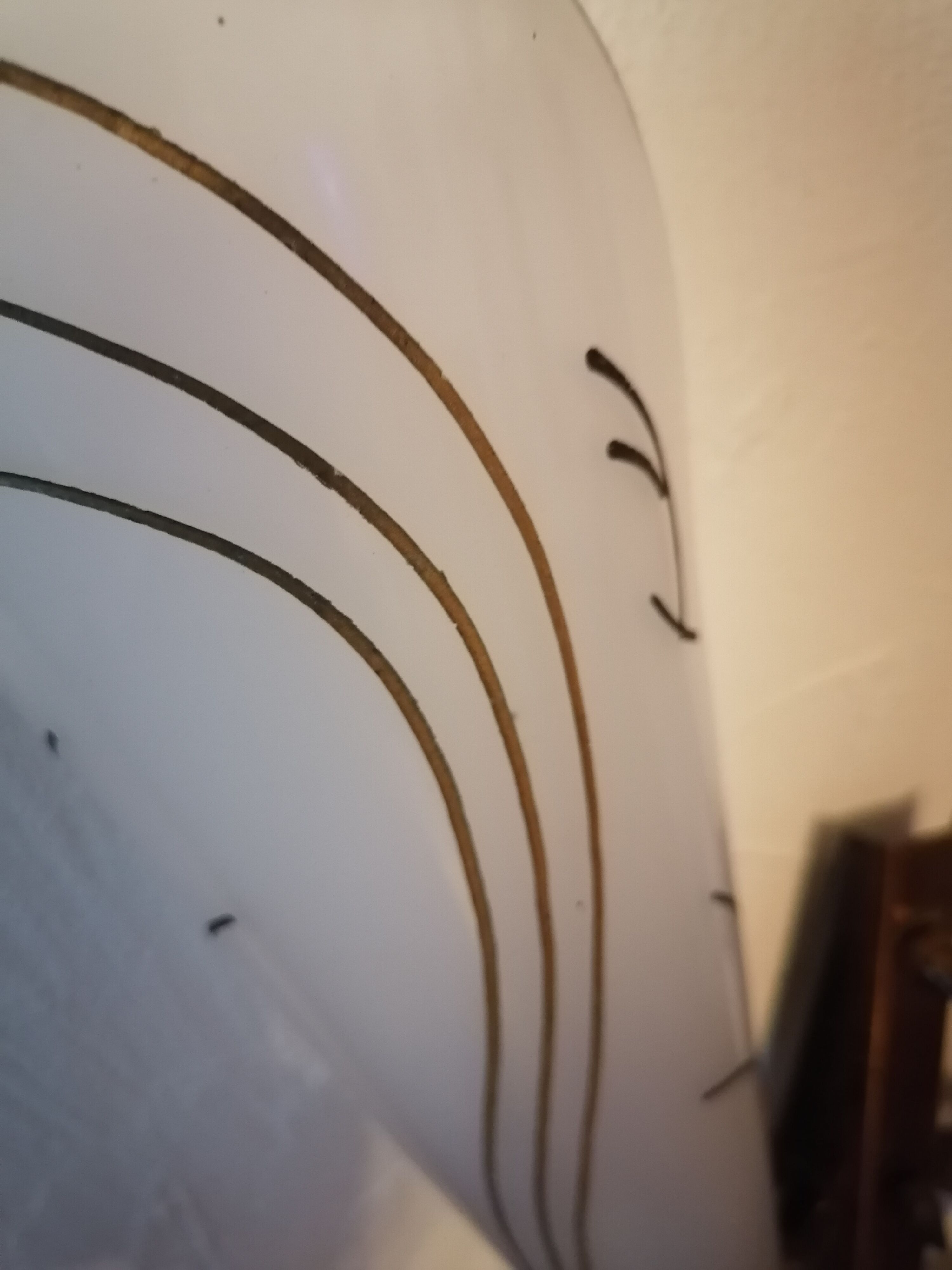 Double wall light 1950 60