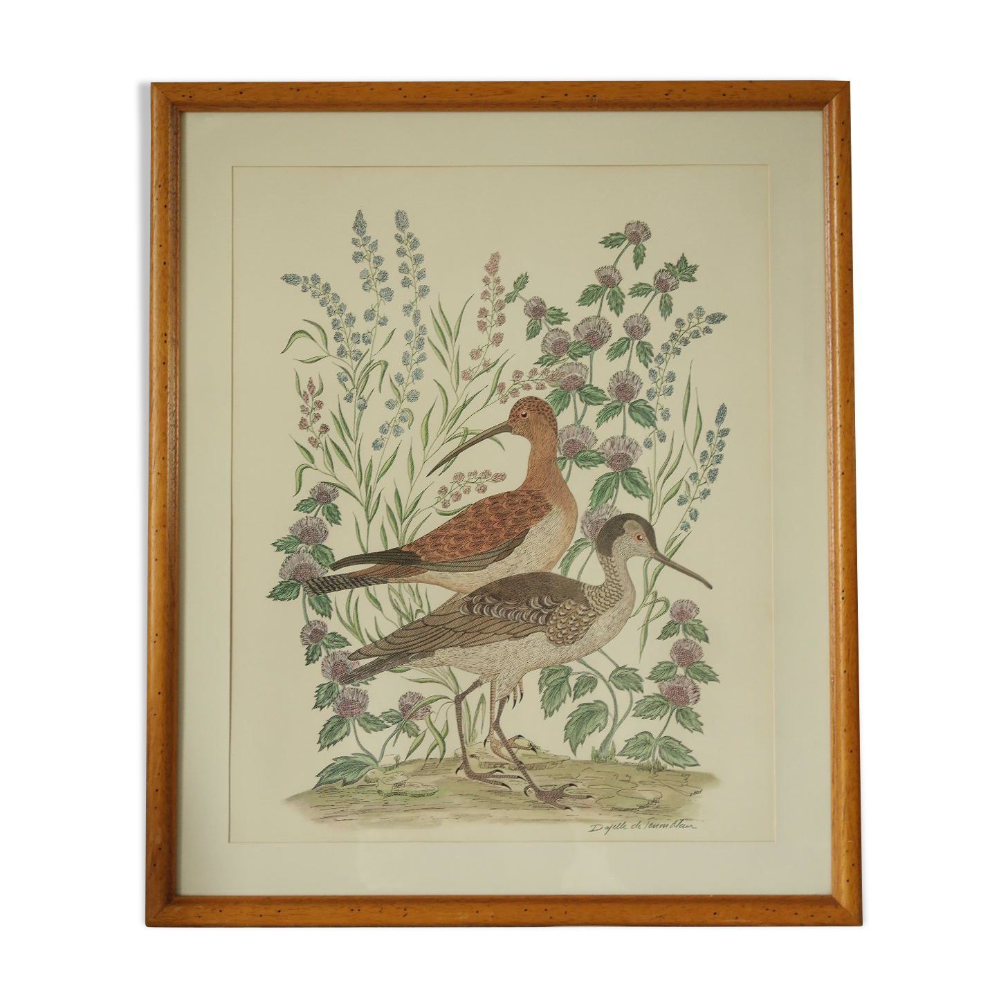 Tableau vintage aquarelle ducks of terronblan monbaly dayelle