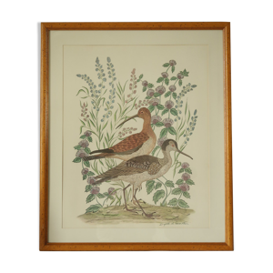 Tableau vintage aquarelle canards