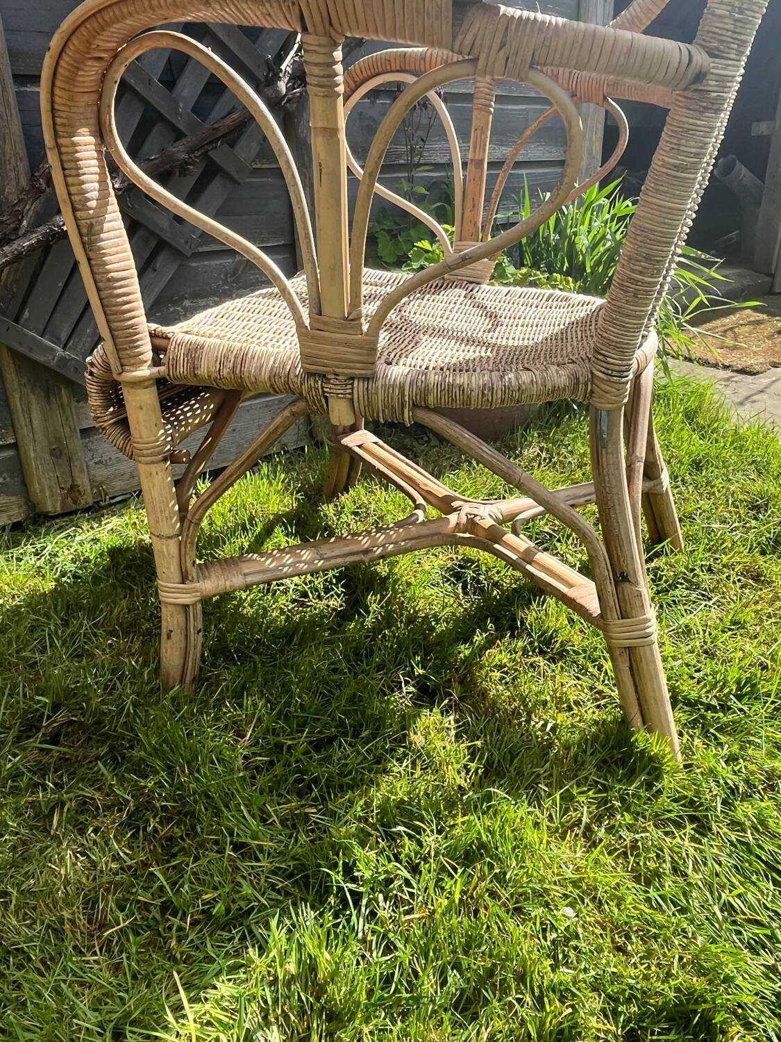 Rattan armchair duo