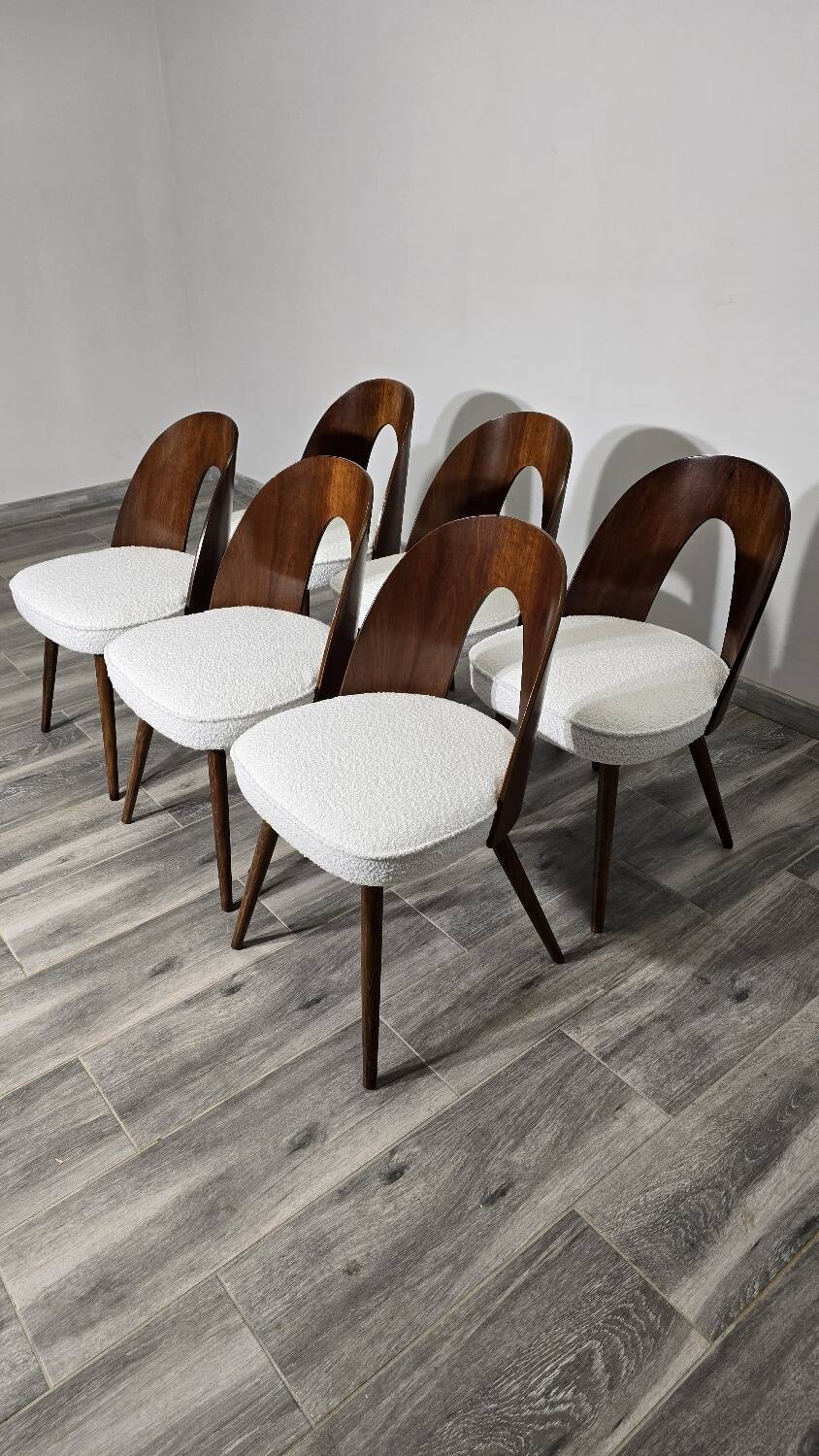 Dining Chairs by Antonin Suman, 1960s, Set of 6