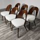 Dining Chairs by Antonin Suman, 1960s, Set of 6