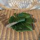 Beurrier vintage feuille en barbotine