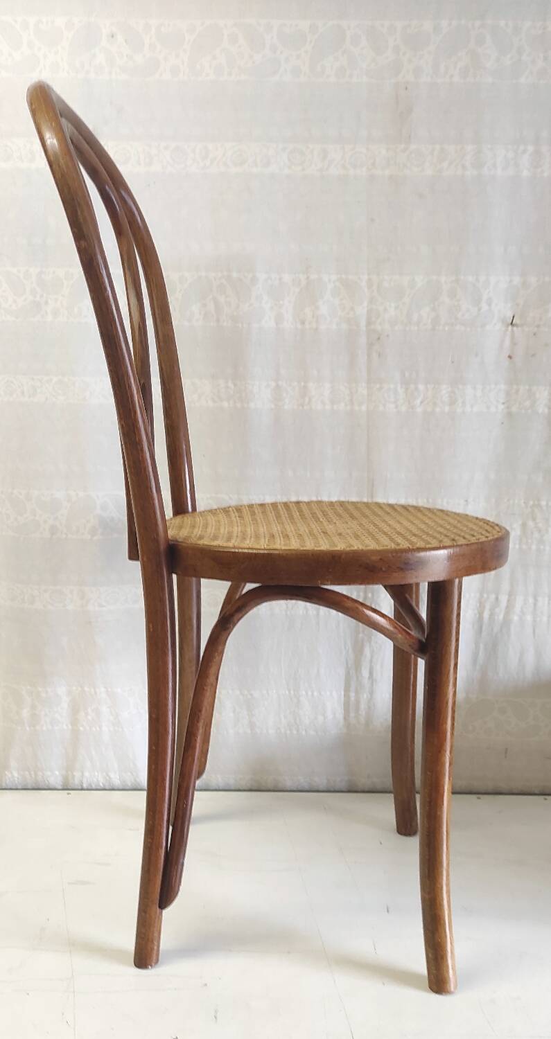 Bistro chair in bentwood and canework - mid. 20th century