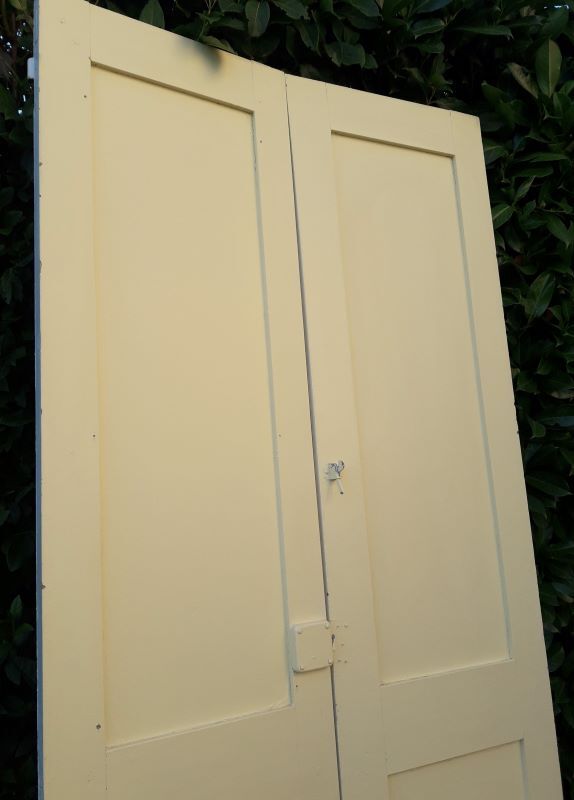 Pair of doors 218,5x92,5cm old closet