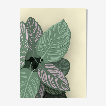 Illustration "Tropical Leaves" by Noums Atelier