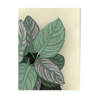 Illustration "Tropical Leaves" by Noums Atelier