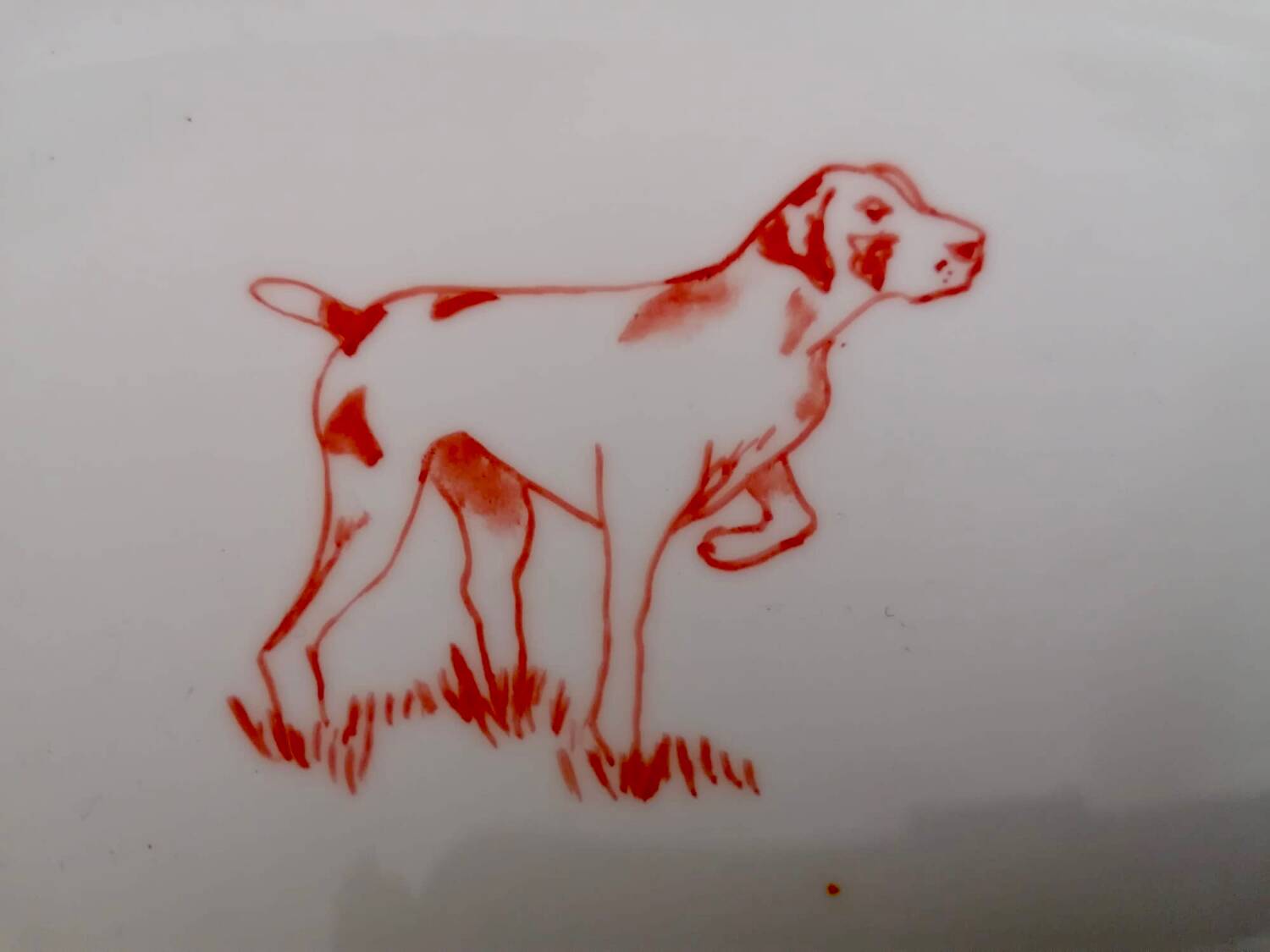 Small hunting dog dish