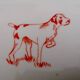 Small hunting dog dish
